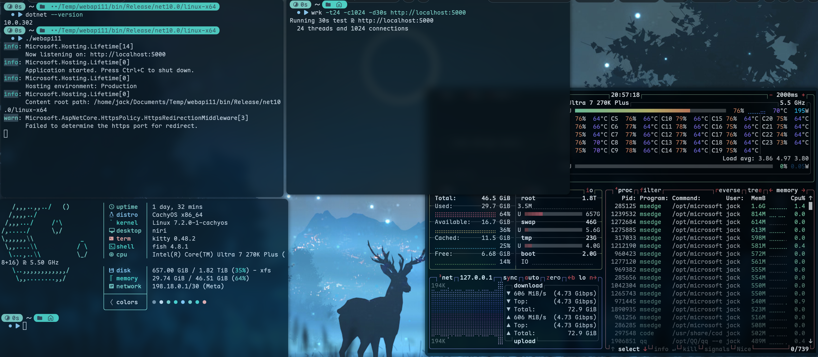 .NET 10 manual result