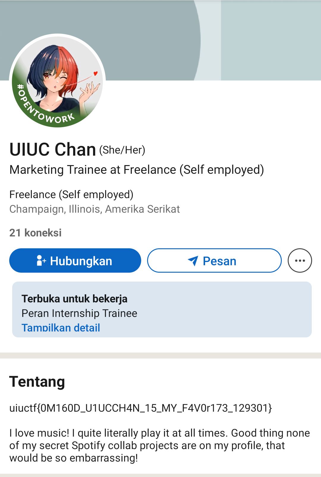 Flag in about section