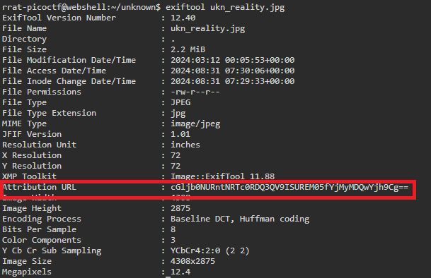 Result of exiftool command