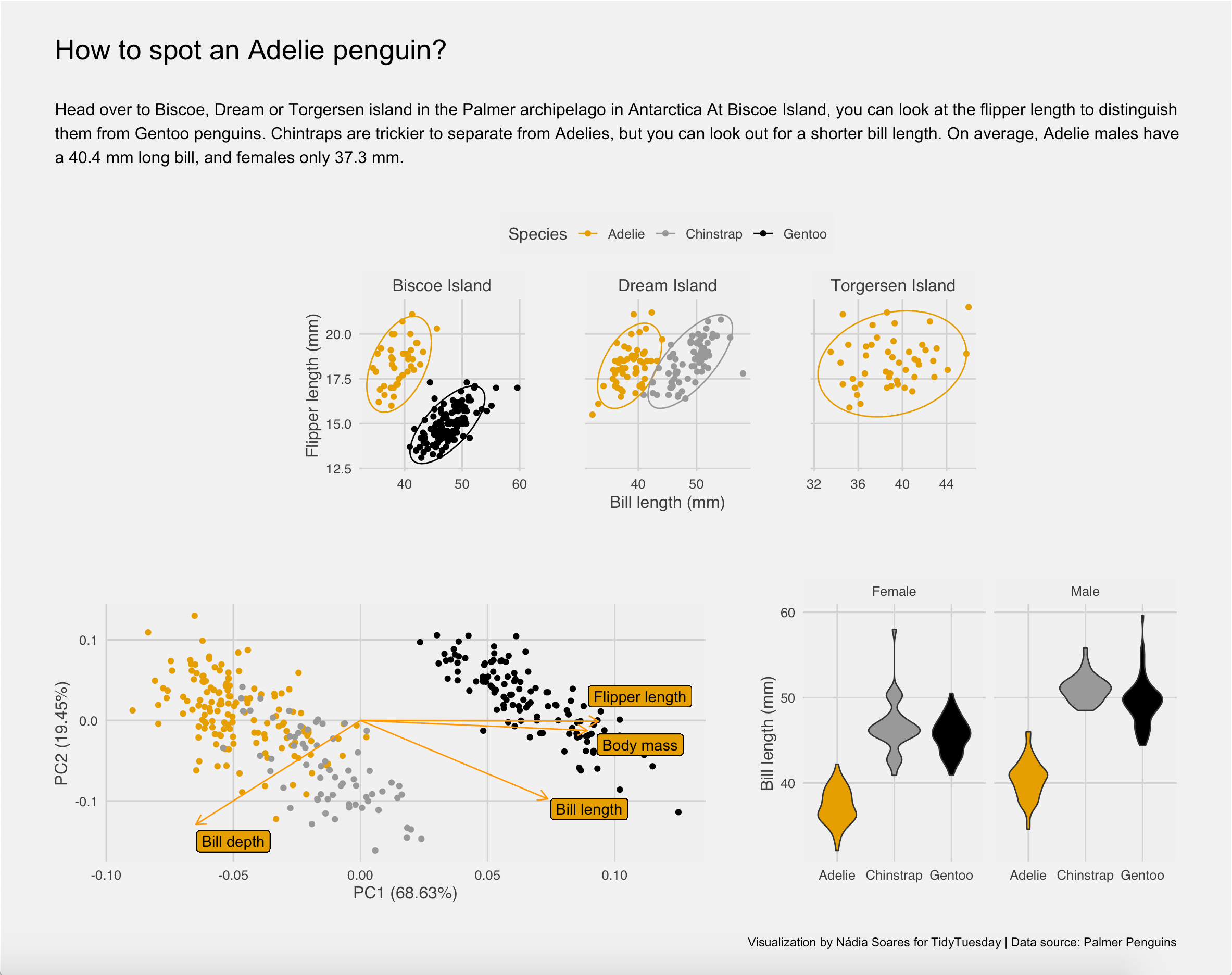 Penguins