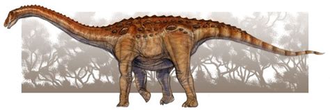 Mengenal Dinosaurus Aegyptosaurus