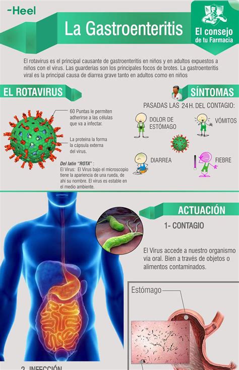 Gejala Gastroenteritis