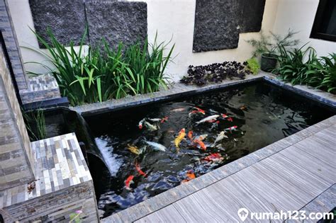 Membangun Kolam Ikan Minimalis di Rumah