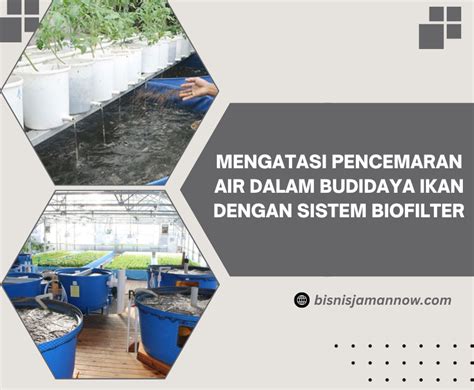 Memanfaatkan Teknologi dalam Budidaya Ikan