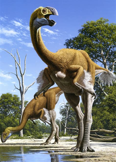 Mengenal Dinosaurus Gigantoraptor