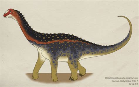 Mengenal Dinosaurus Opisthocoelicaudia