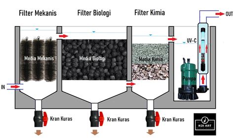 Membangun Sistem Filtrasi Kolam Budidaya Ikan Hias