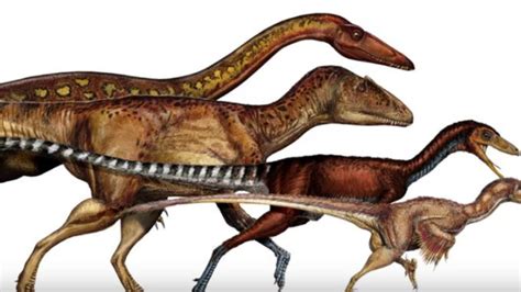 Bagaimana Cara Para Ilmuwan Mempelajari Sejarah Dinosaurus?