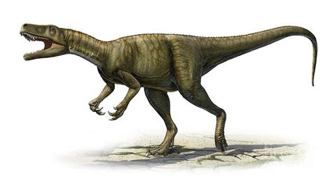 Mengenal Dinosaurus Herrerasaurus