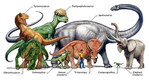 Bagaimana Manusia Terkait dengan Sejarah Dinosaurus?