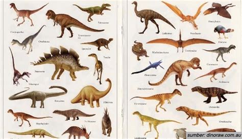 Mengenal Jenis-Jenis Dinosaurus