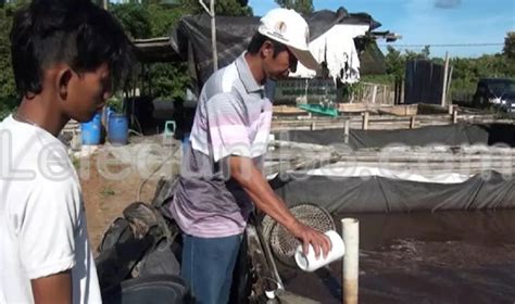 Memanfaatkan Limbah Organik untuk Budidaya Ikan