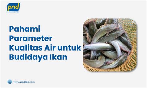 Sertifikasi dan Standar Keamanan dalam Budidaya Ikan