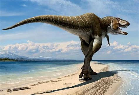 Apa yang Ditemukan dalam Penelitian Sejarah Dinosaurus?
