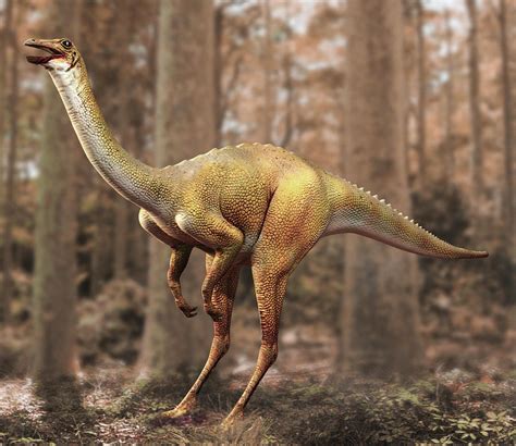 Mengenal Dinosaurus Gallimimus