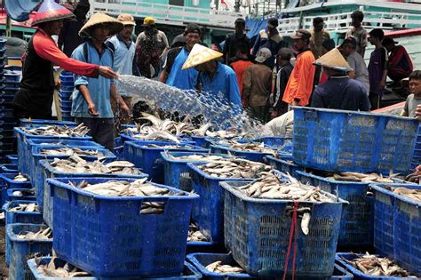 Analisis Pasar Ikan di Indonesia