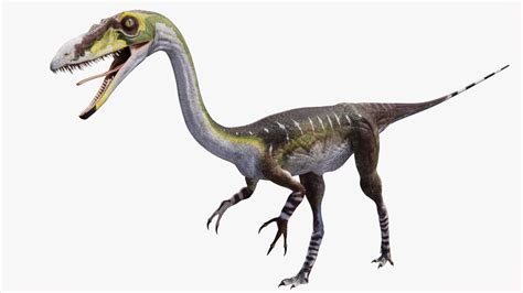 Mengenal Dinosaurus Coelophysis