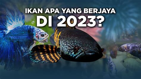 Tren Ikan Hias Terbaru