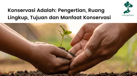 Pentingnya Konservasi Ikan dan Ekosistemnya