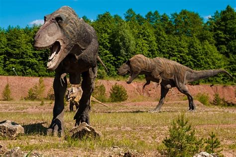 Bagaimana Dinosaurus Beradaptasi dengan Lingkungannya?