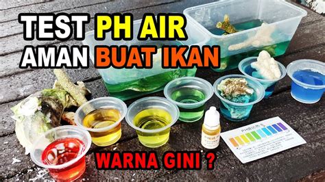 Mengatur Suhu dan pH Air untuk Ikan Hias