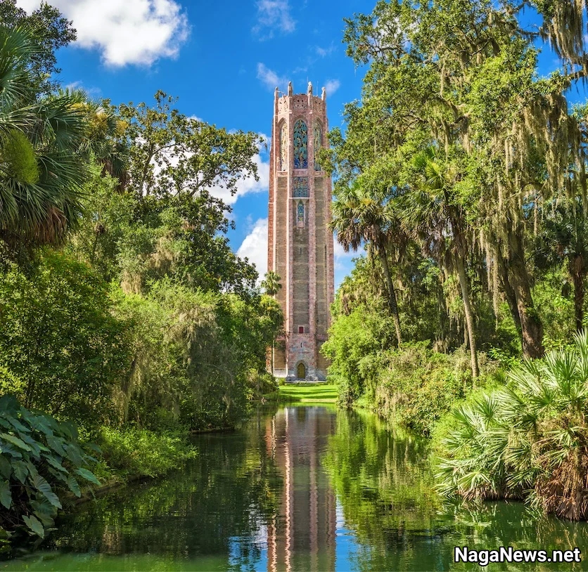 Menara bok florida taman bernyanyi pohon sungai