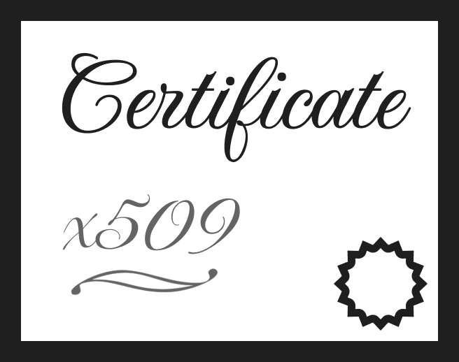 X509-validator