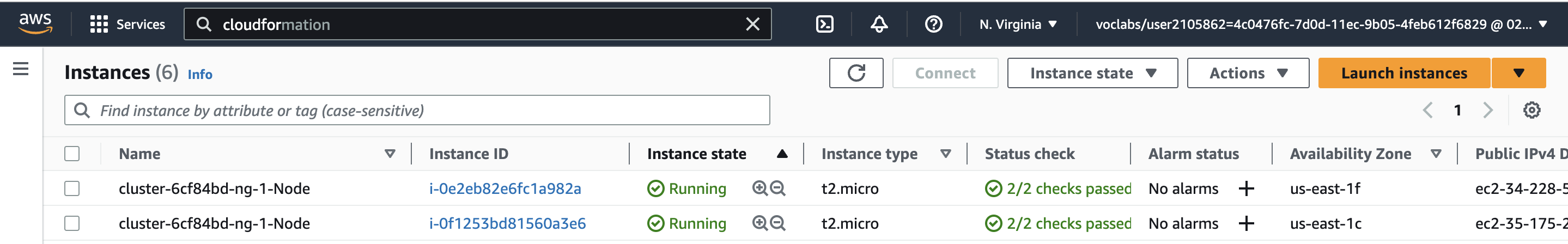 Node Group's Instances