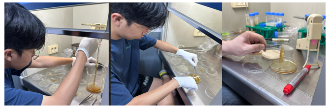 Lab H