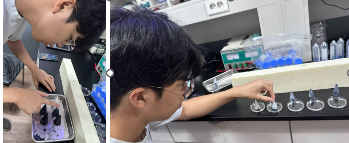 Lab J