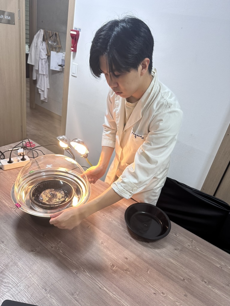 Water dome experiment