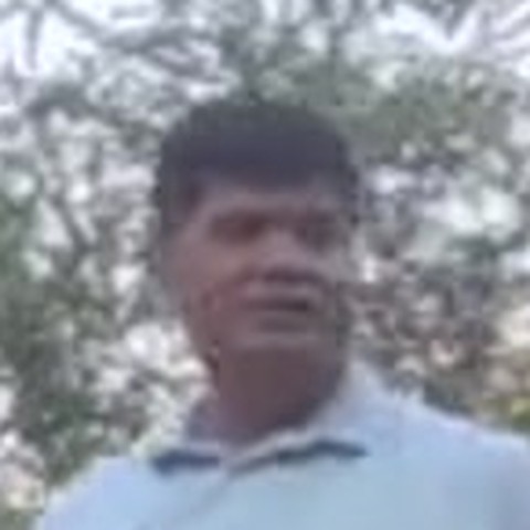 Player 117 — Shreewoods volleyball, Dhanori Pune (8 February 2026)