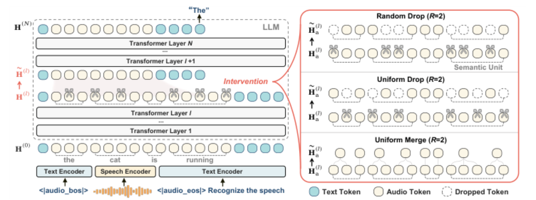 原论文 Figure 1:Framework of oracle intervention experiments.