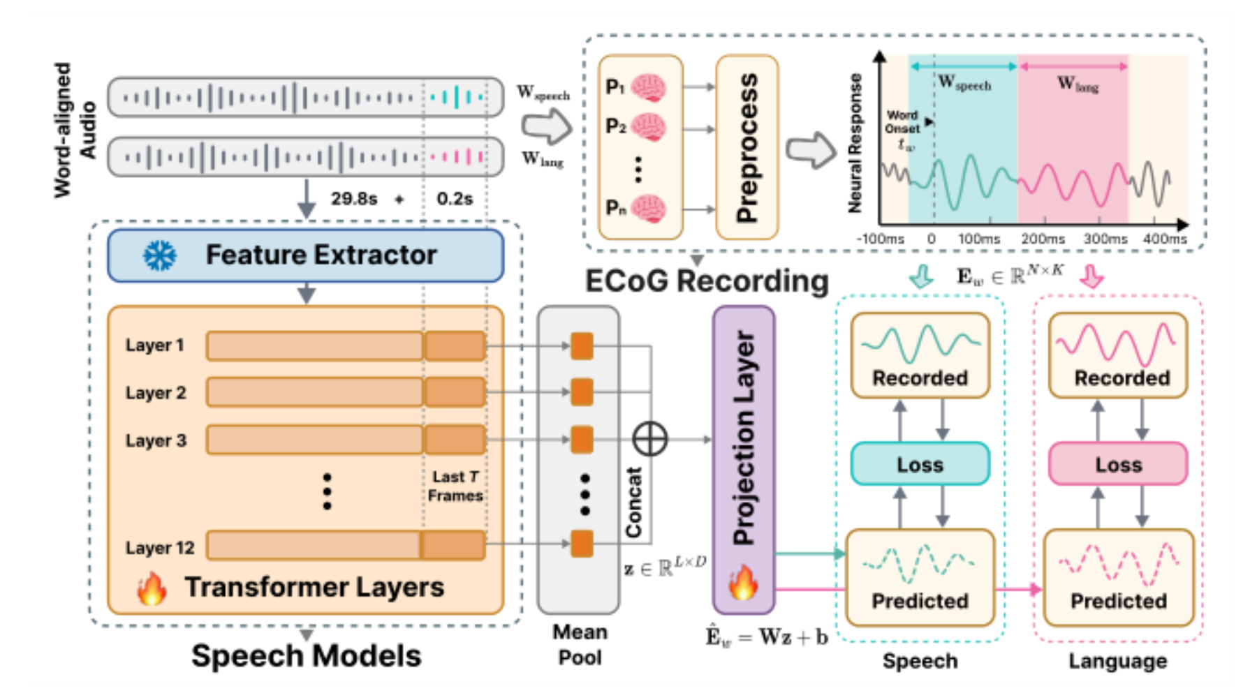 原论文 Figure 1:Overview of the temporally targeted ECoG-tuning framework.