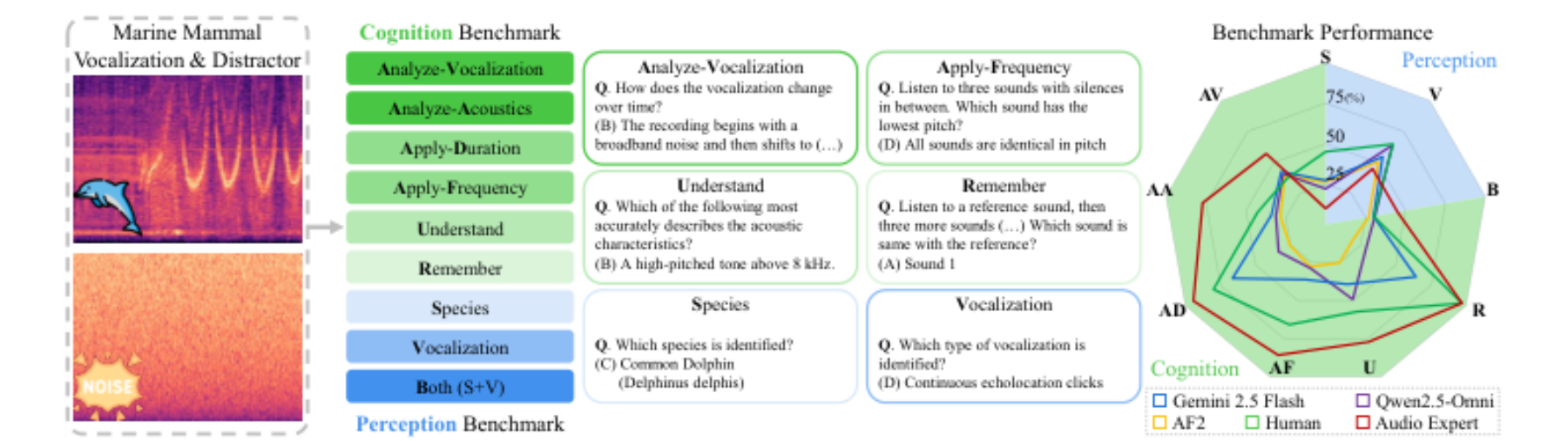 原论文 Figure 1:World-of-Whale benchmark aims to evaluate low-level listening capabilities of LALMs using marine…