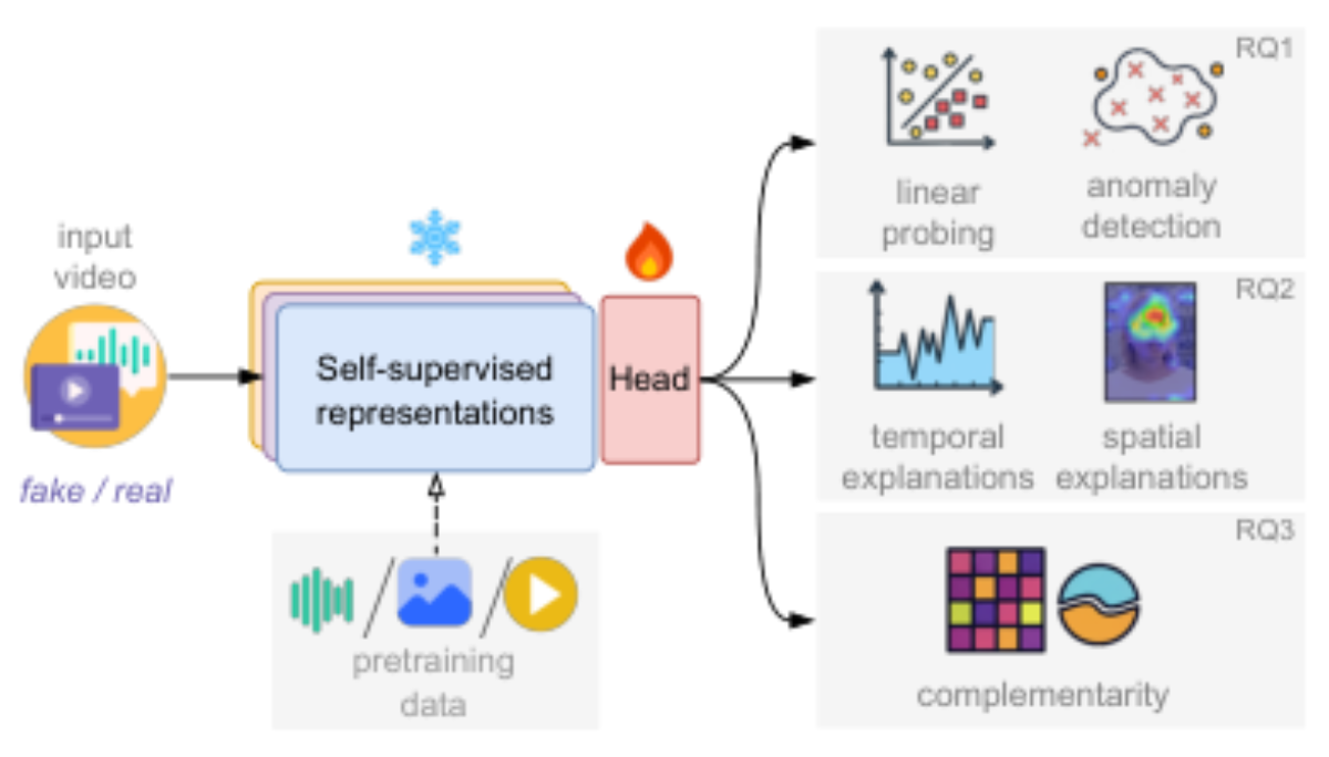 原论文 Figure 1:We evaluate a wide array of self-supervised represen- tations for audio-visual deepfake detection.