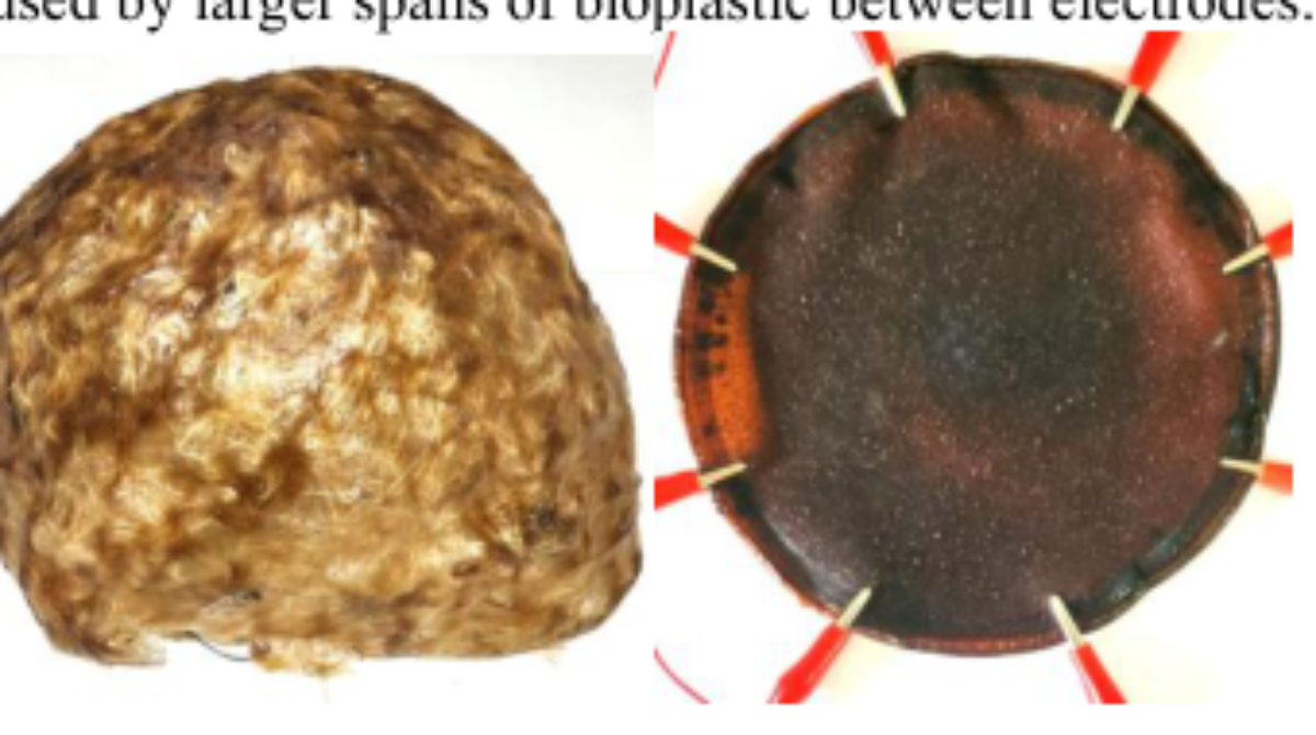 原论文 Figure 1:On the left, the large bioplastic shell inter- face; on the right, the small circular sample…
