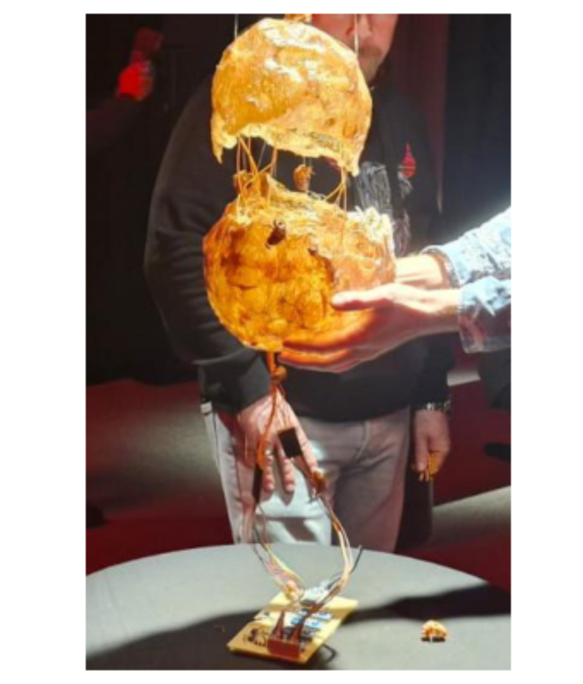 原论文 Figure 3:First prototype of the bioplastic sculptural in- terface presented at the Ligeti Center in…
