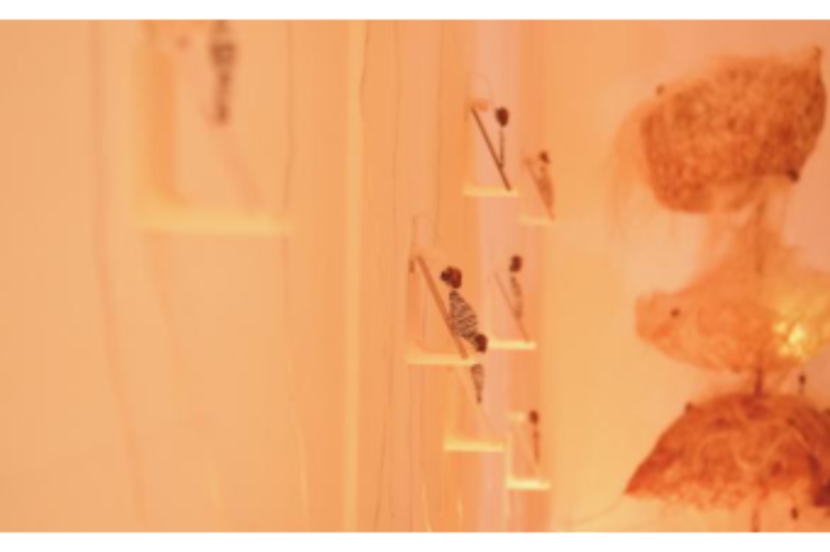 原论文 Figure 5:Detail of one of the installation walls, show- ing several modules of vibrating motors and…