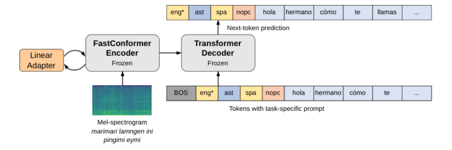 原论文 Figure 1:Modified Canary model for AST adopting a PEFT strategy.