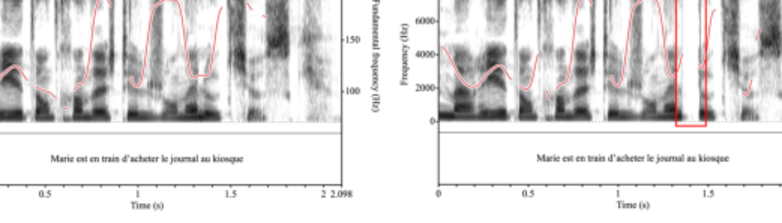 原论文 Figure 3:Exemples de stimuli non-manipulé (gauche) et manipulé avec insertion d’un coup de glotte avant le…