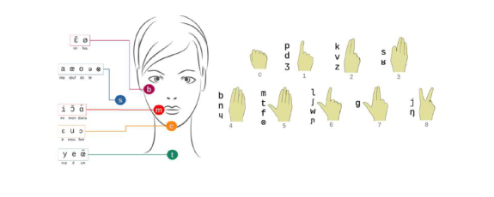 原论文 Figure 1:Clés, positions (voyelles) et formes de la main (consonnes) en LfPC
