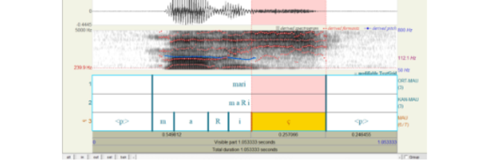 原论文 Figure 1:Capture d’écran de la segmentation pour le mot “mari” dans l’enregistrement Q31082.