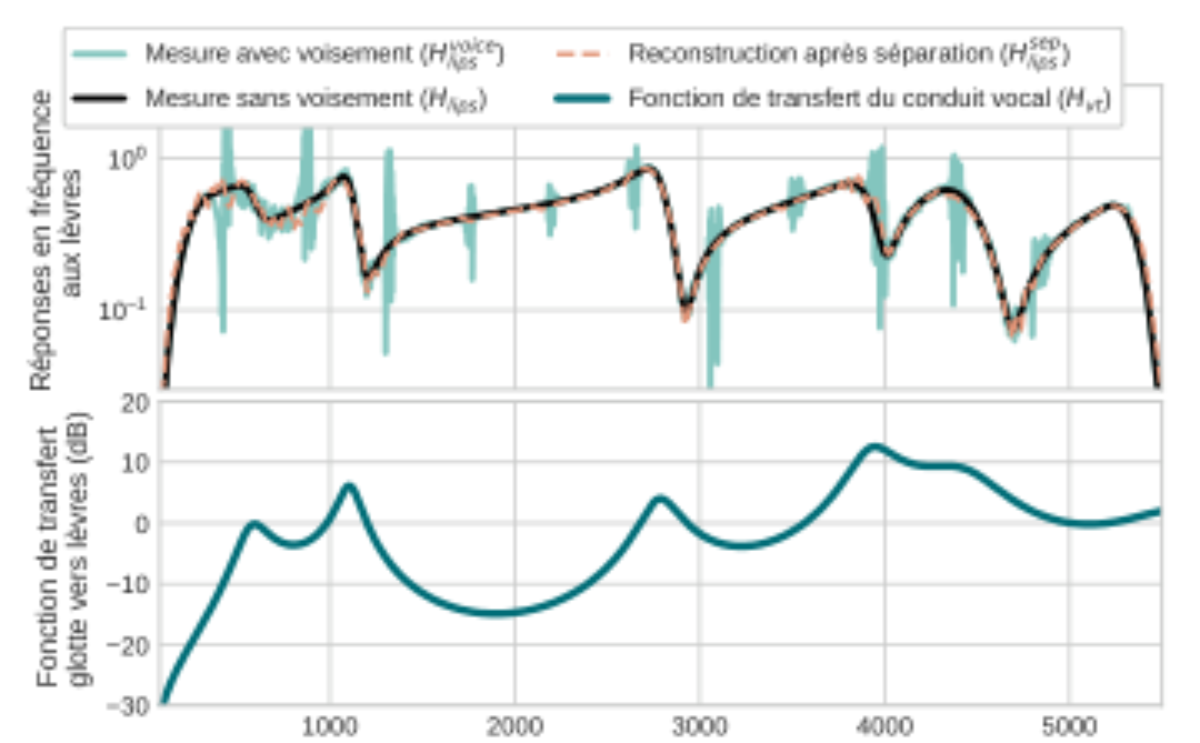 原论文 Figure 2:En haut : réponses en fréquence aux lèvres sur une mesure sans voisement (Hlips), avec voisement…