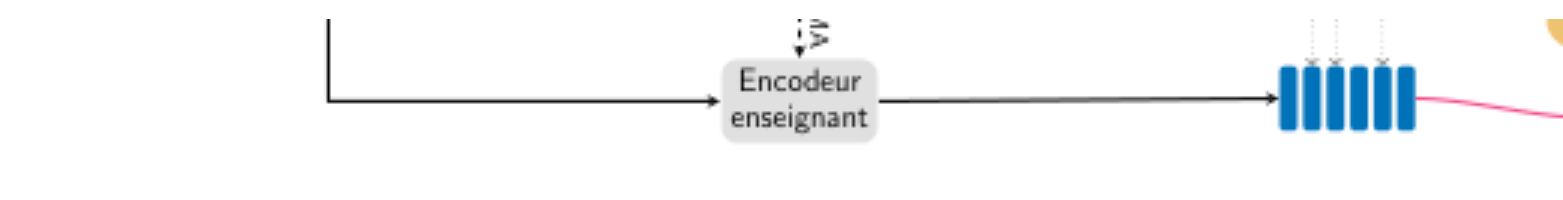 原论文 Figure 1:Vue d’ensemble de l’architecture du modèle Pantagruel.