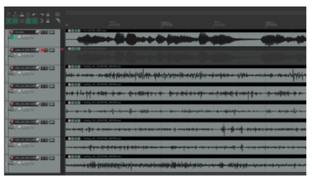原论文 Figure 2:Screenshot showing the time-aligned multi- channel dataset in REAPER.
