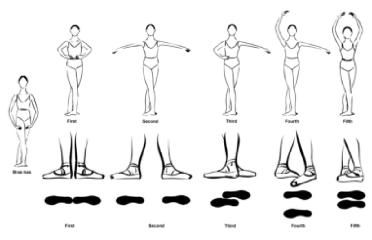原论文 Figure 2:The illustration of ballet postures: Bras bas, five arm positions and five foot positions.