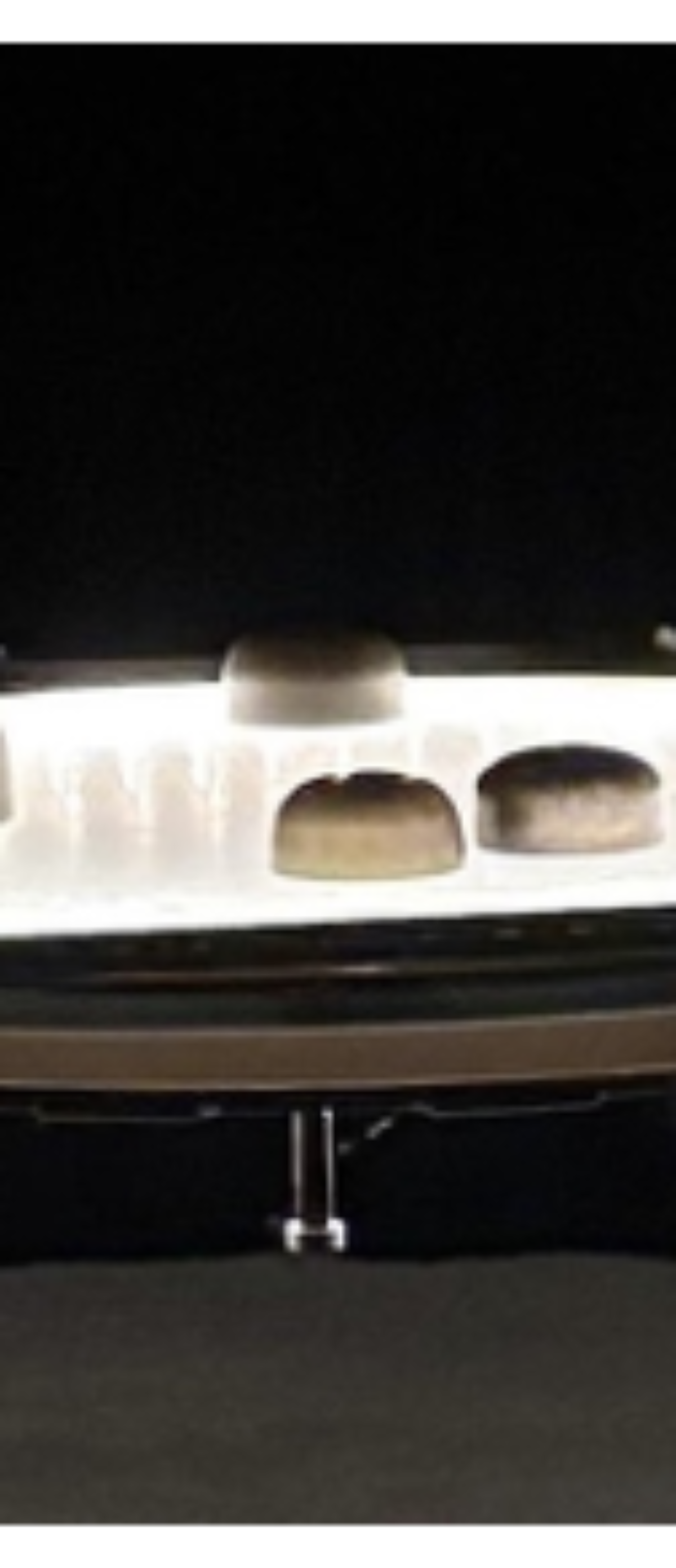 原论文 Figure 1:CLSTR1.
