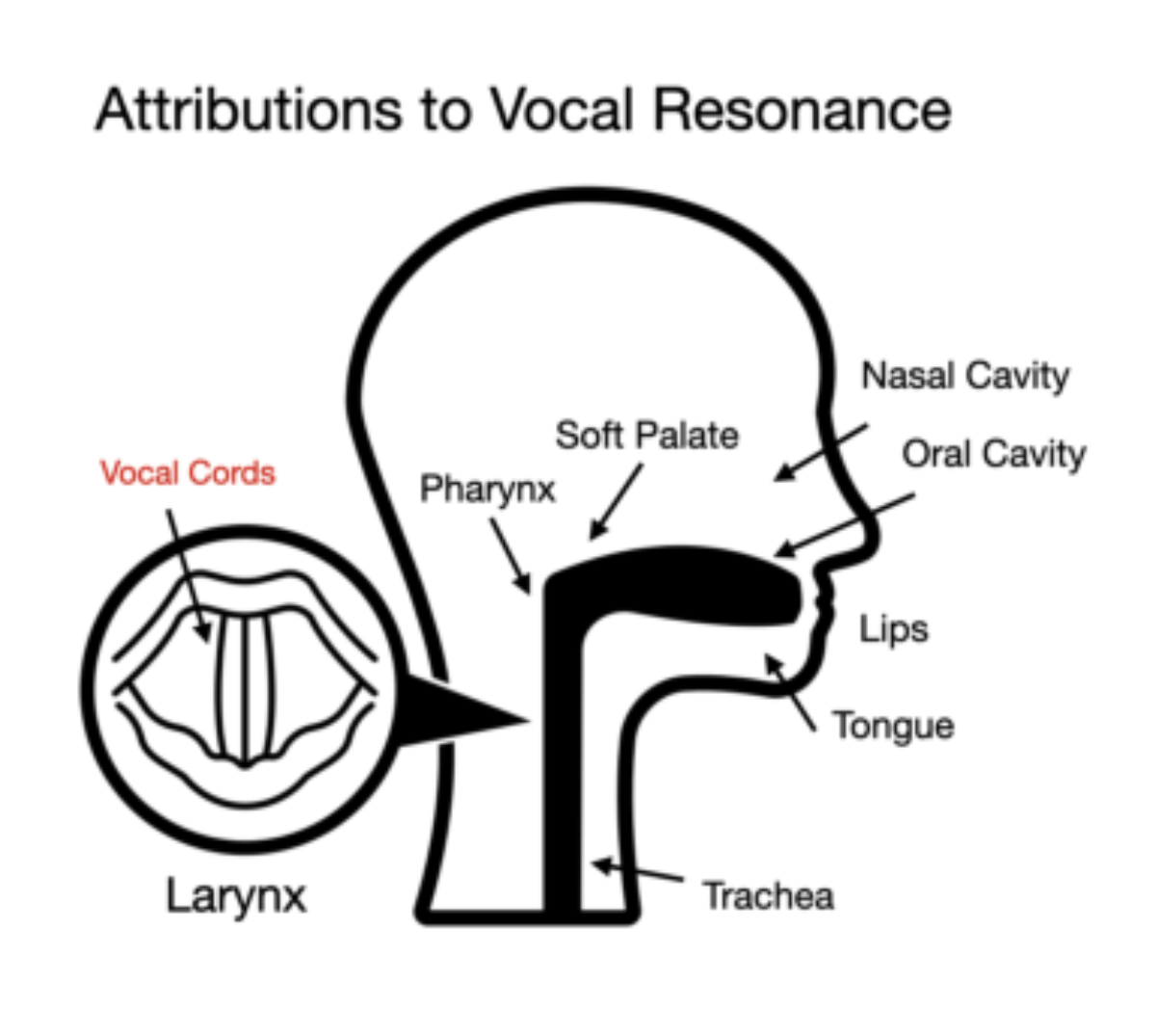 原论文 Figure 2:Vocal resonance in the context of voice training is often broken down into laryngeal resonance in…