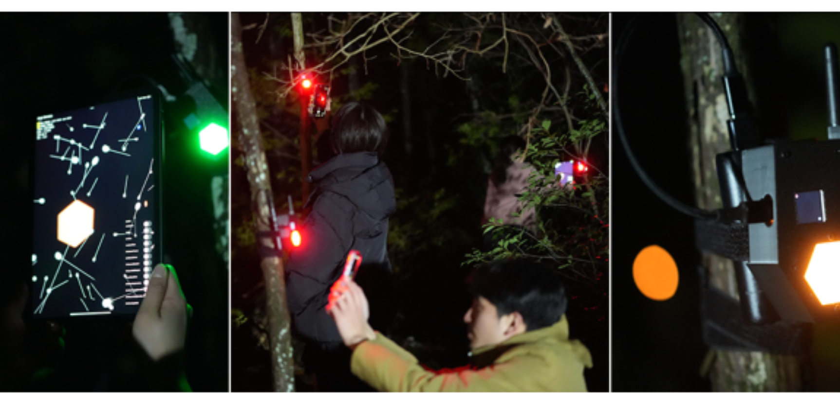 原论文 Figure 1:A participant interacting with luminous objects in a dark forest environment.